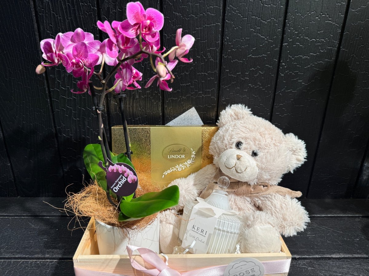 Orchid Plant Hamper - ROSE &amp; CO